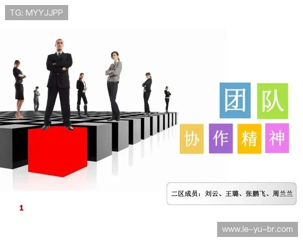 纳什组织大师:引领团队高效协作的核心策略